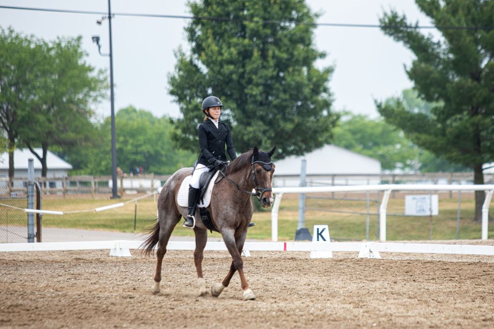 Equestrian competition in progress at an outdoor facility with white boundary markers.