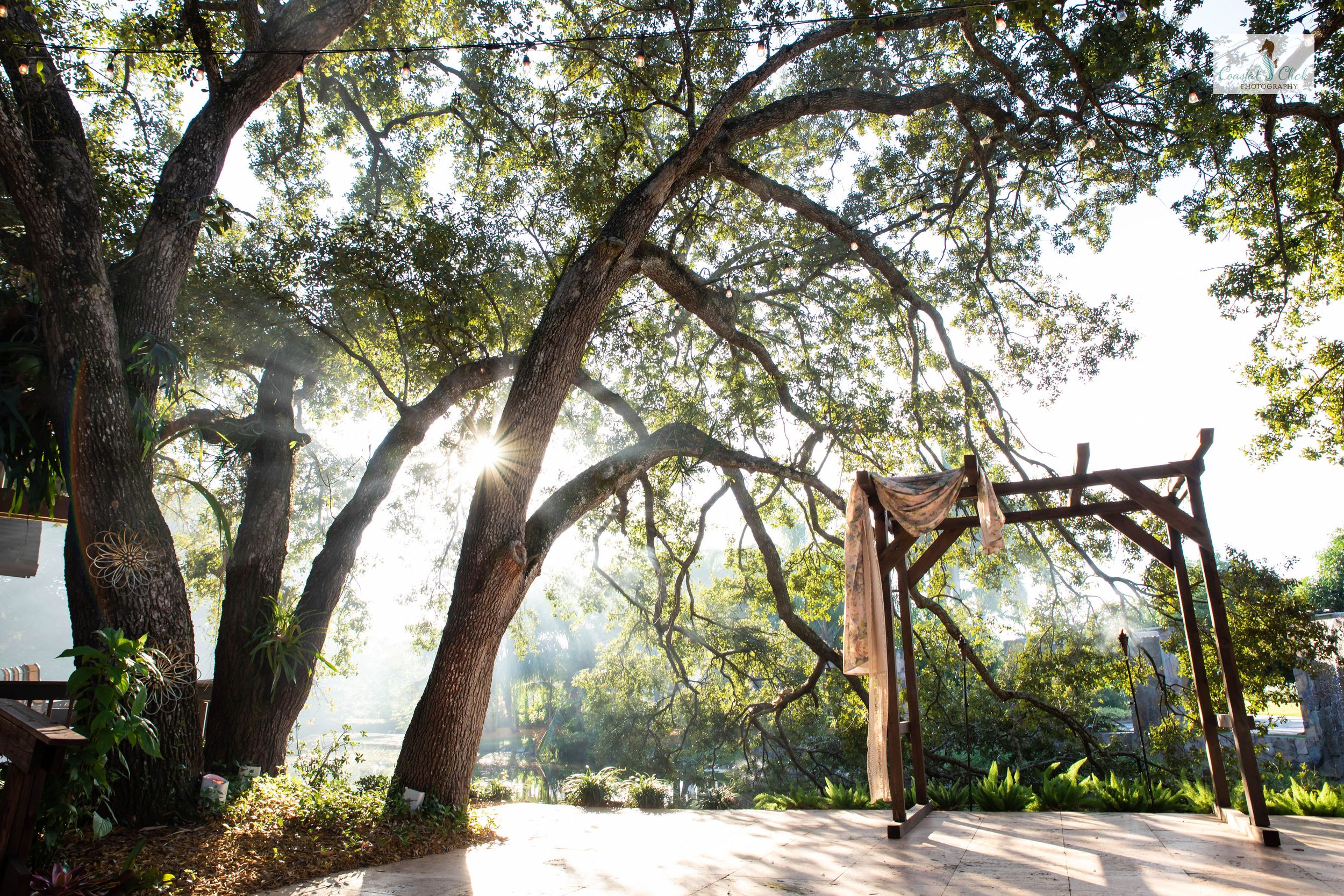 A rustic wooden wedding arch decorated with fabric stands among sunlit trees.