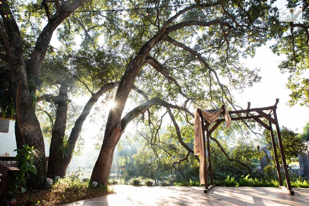 A rustic wooden wedding arch decorated with fabric stands among sunlit trees.
