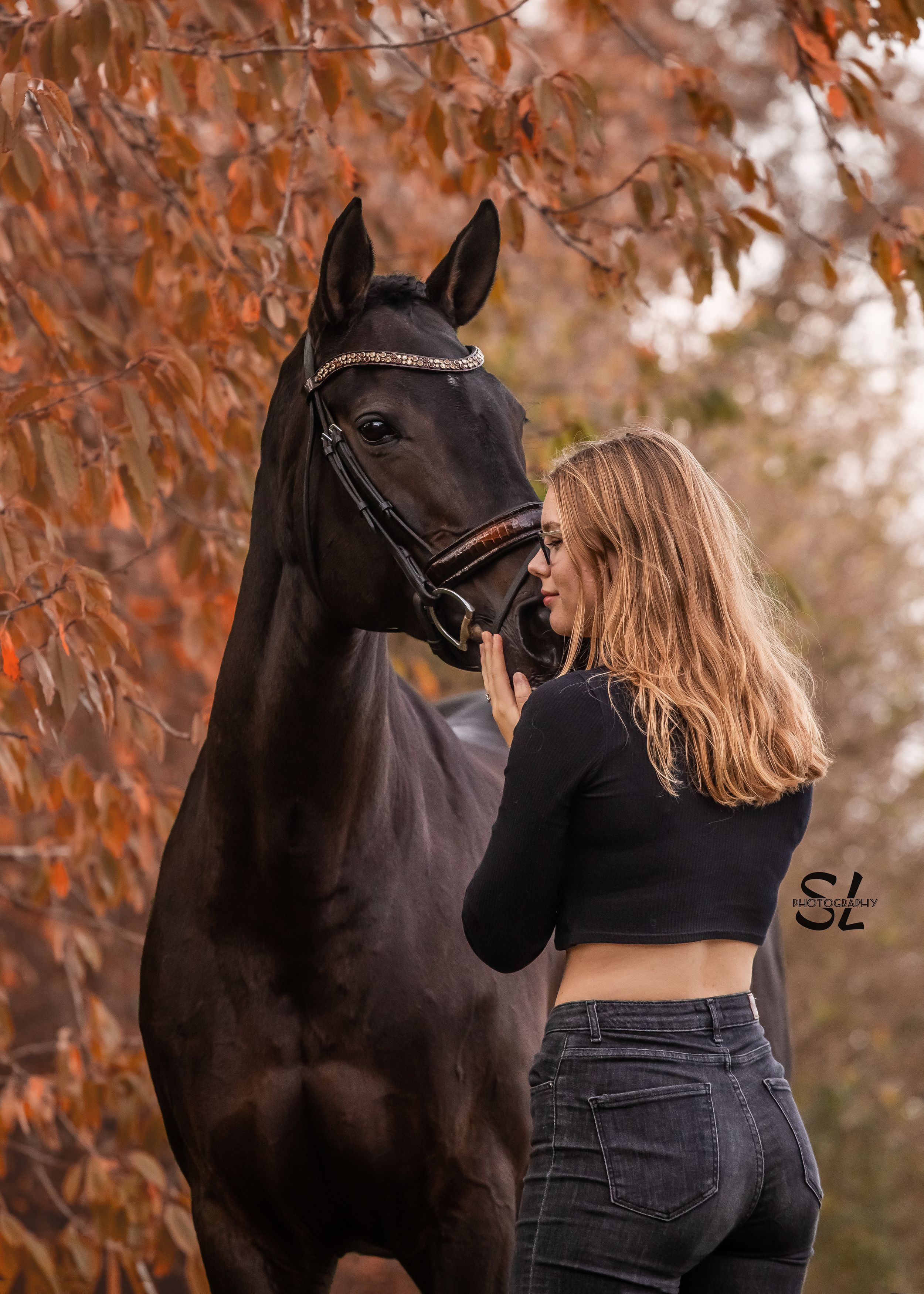 herfstfoto rode bladeren paard knuffel foto