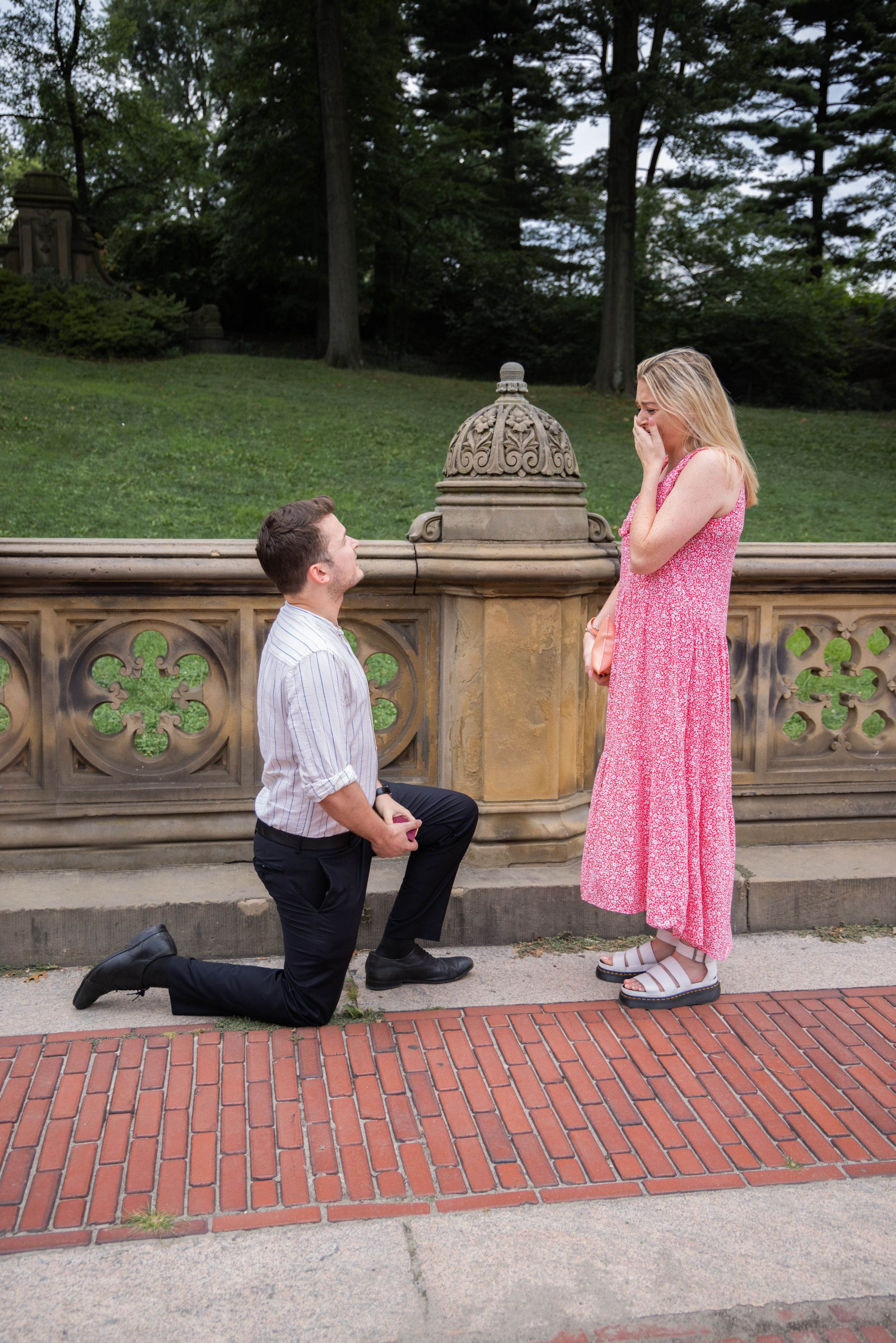 Man proposes on one knee to woman in pink dress at Central Park, NYC.