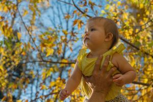 Small child gazes up at autumn leaves while being held against a bright yellow foliage background.