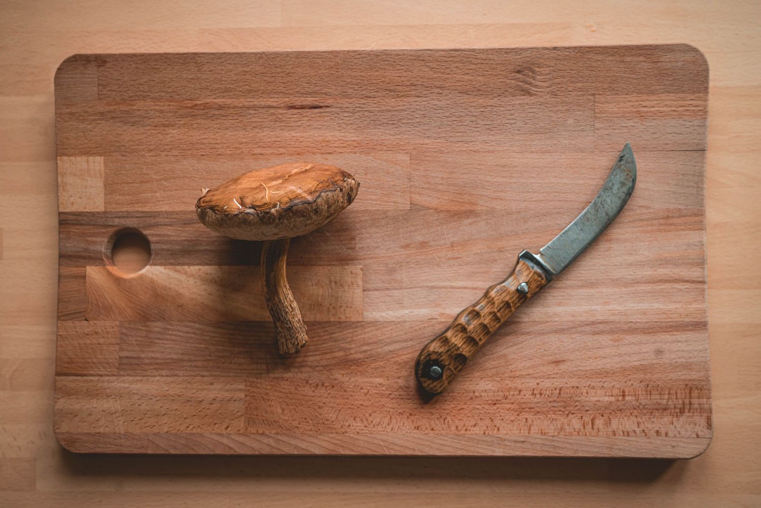 Wild Edible Mushrooms - The Grizzly Forager: The Definitive Guide to ...