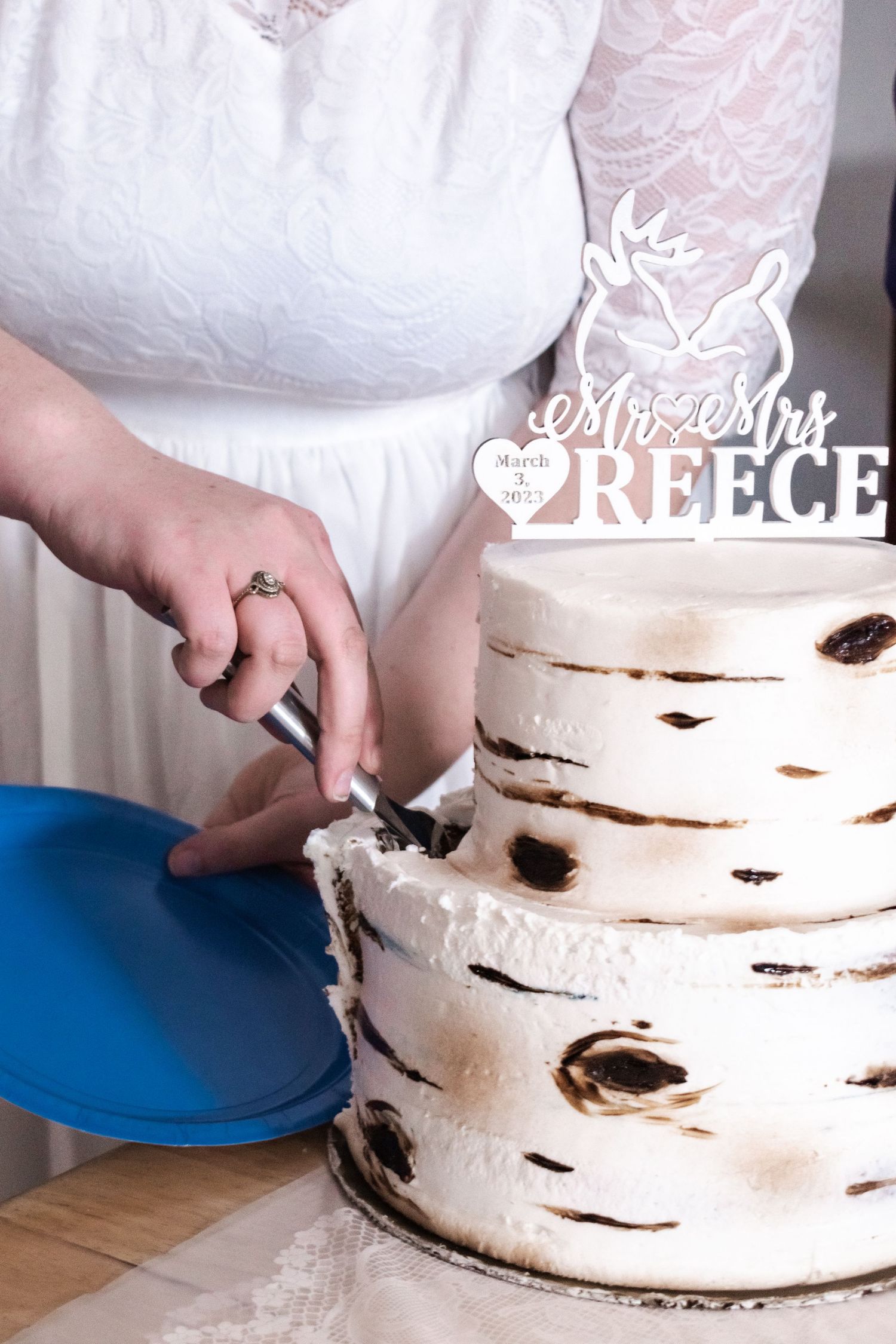 Inclusive Wedding Photography TN, NC, VA, GA, SC, WV, travel all 48 states with AMG Photography.