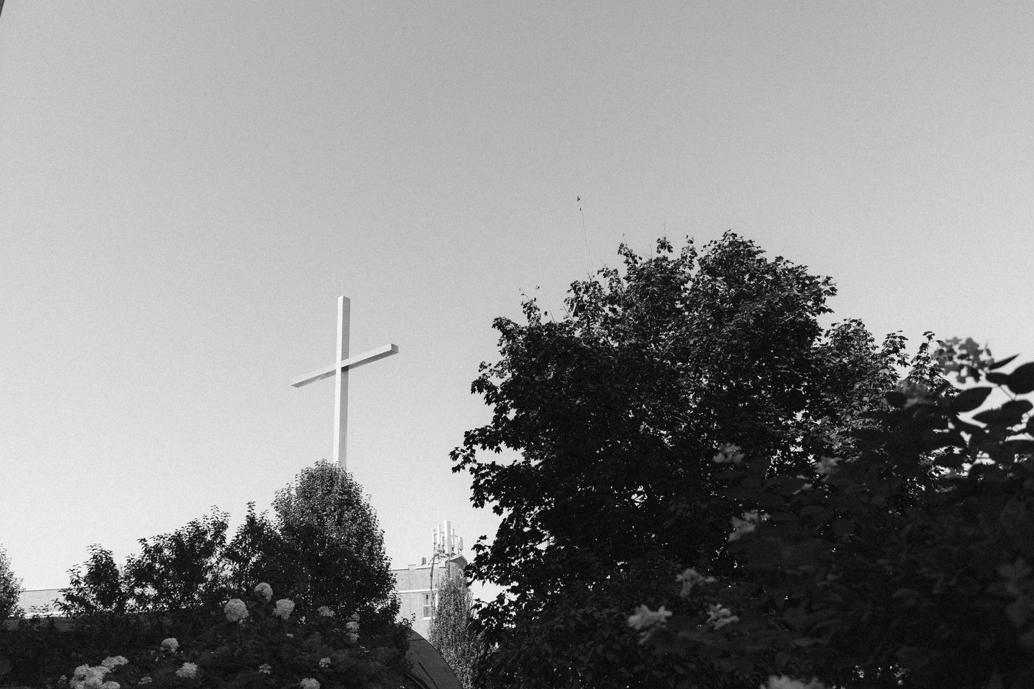 Silhouette of church steeple and trees against evening sky.