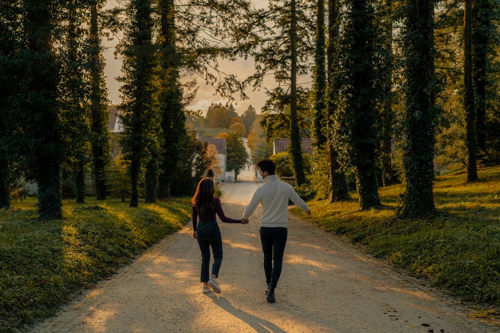Couple qui se tient la main au milieu d'une allée avec des grands arbres
