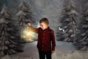 Cleveland Family Photographer Avon Ohio Christmas Mini Session Snowy