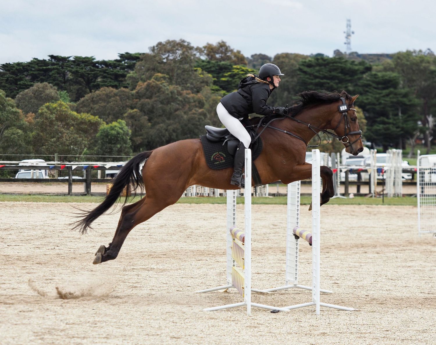 A bay horse and rider clearing a white show jumping fence during competition at an outdoor equestrian arena.
