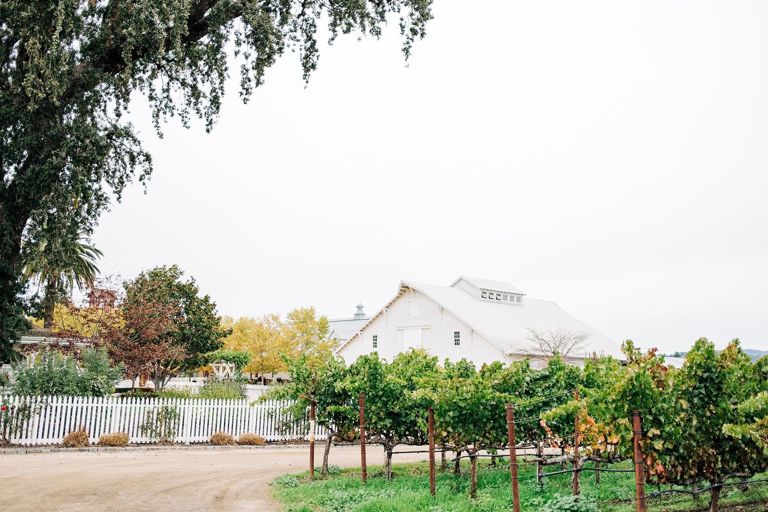 The White Barn