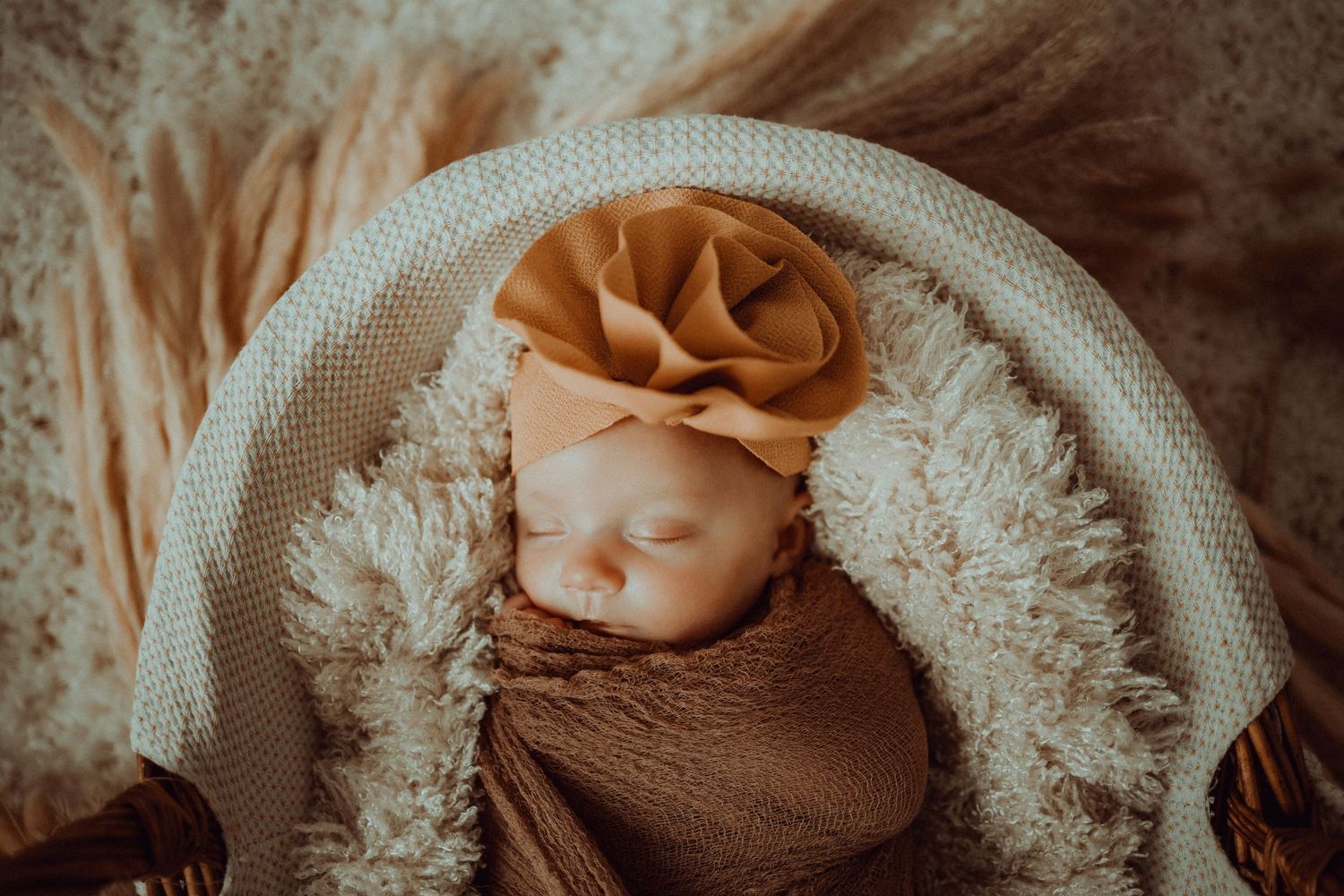 Louisville Family photographer, Jenna Lehman, Family photos Jeffersonville IN