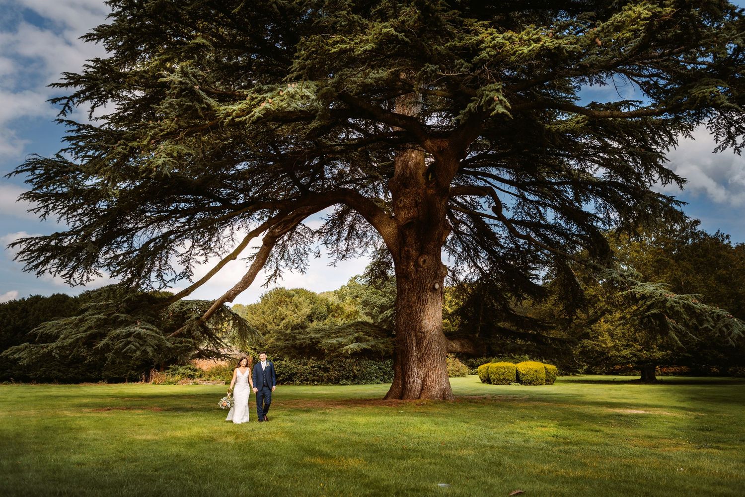 Incredible impressive giant tree in the grounds of Mapledurham estate with bride and groom walking holding hands