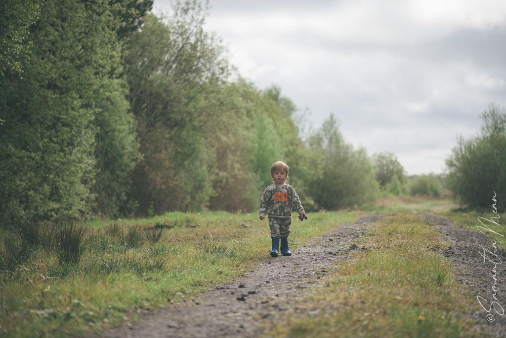 The Bog Strokestown