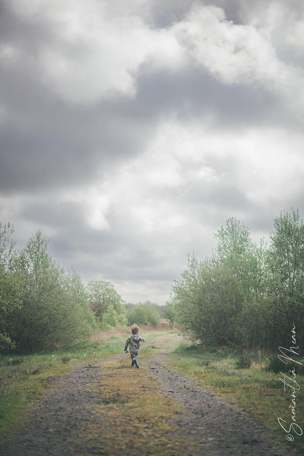 The Bog Strokestown