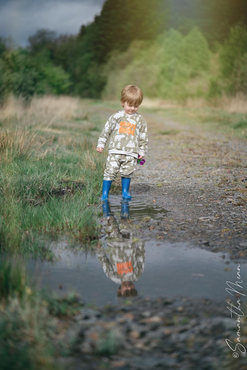 The Bog Strokestown