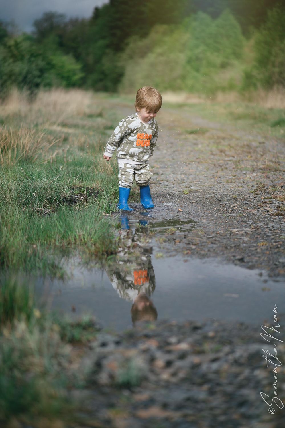 The Bog Strokestown