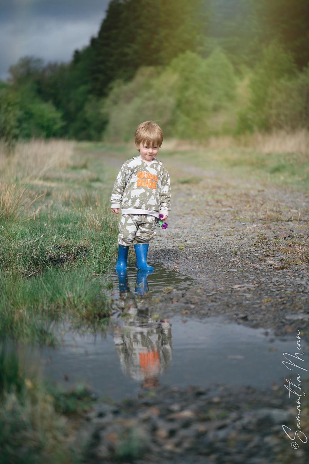 The Bog Strokestown