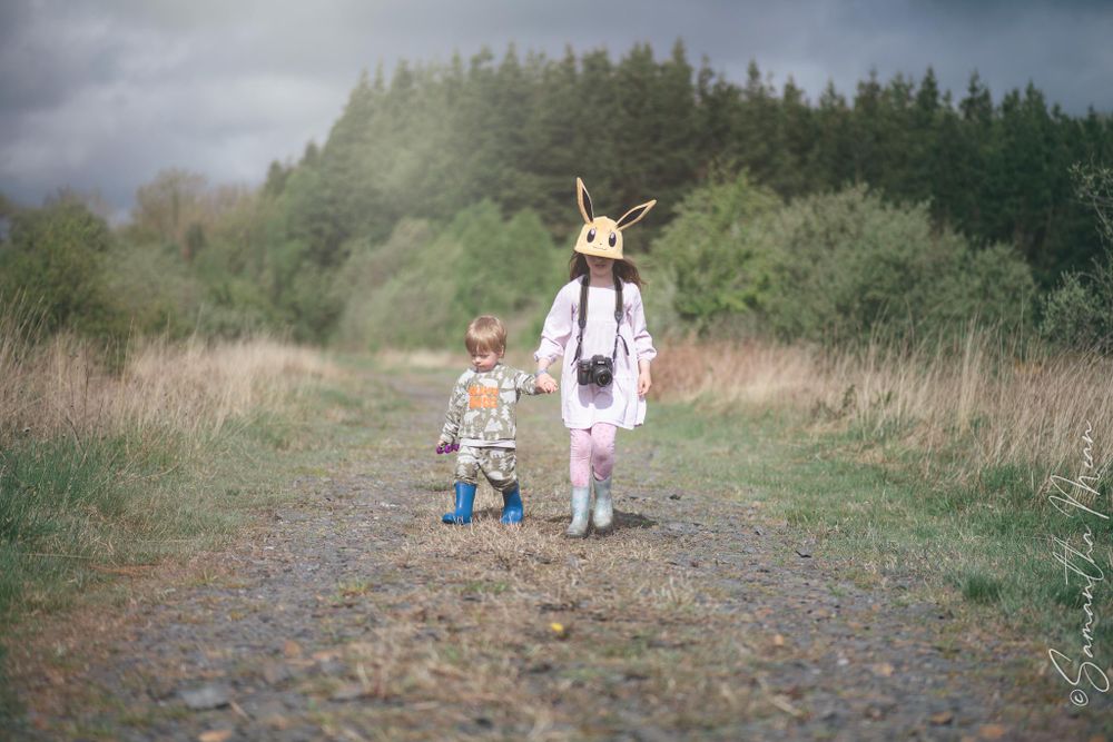 The Bog Strokestown