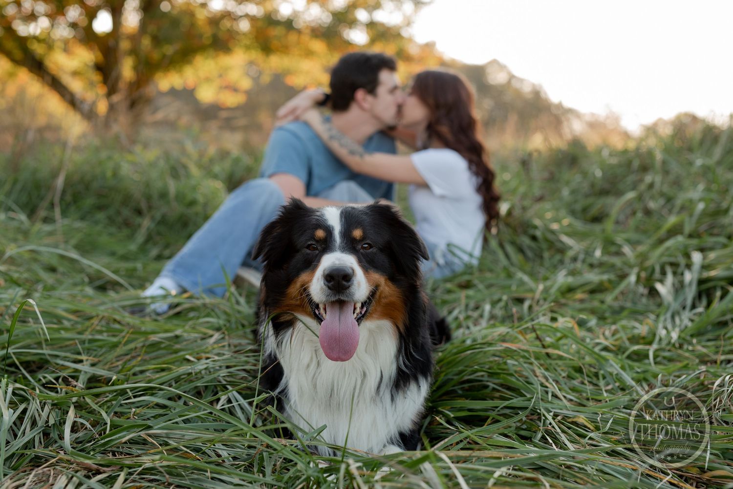 A happy Border Collie smiles at the camera while a couple embraces in the background.