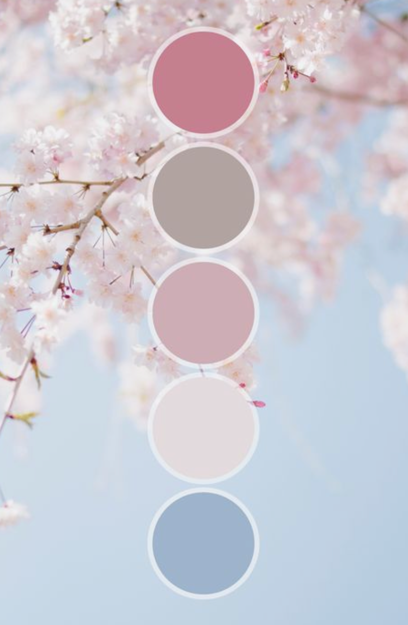 What to wear cherry blossom color palette