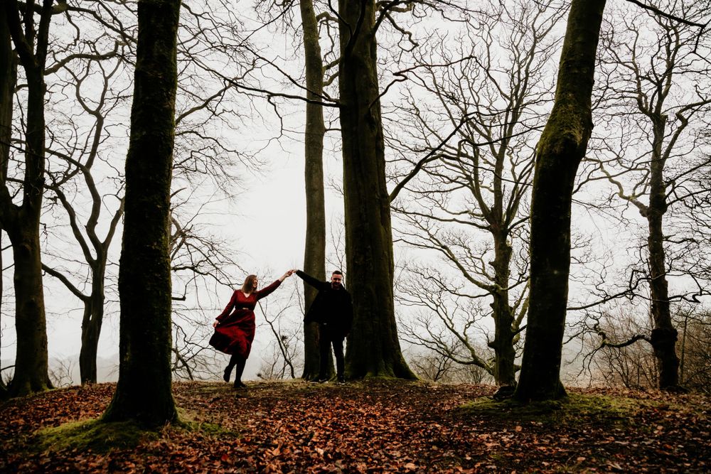 Dark silhouettes of trees in a forest with figures walking among fallen leaves.
