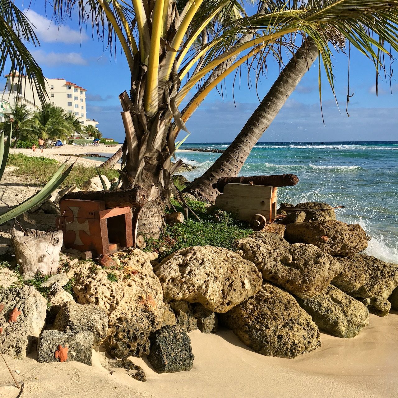 Cannons Coconut Trees Hastings beach location scouting by photographer Logan C Thomas for location catalog
