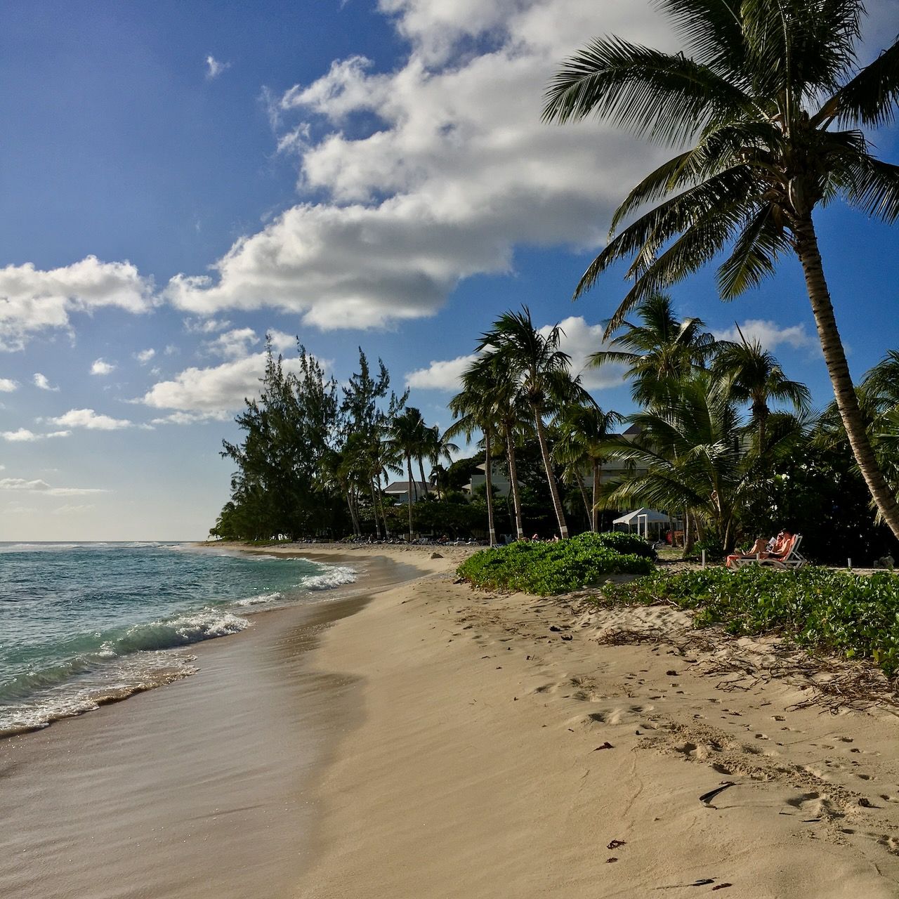 Coconut Trees Coconut court beach location scouting by photographer Logan C Thomas for location catalog