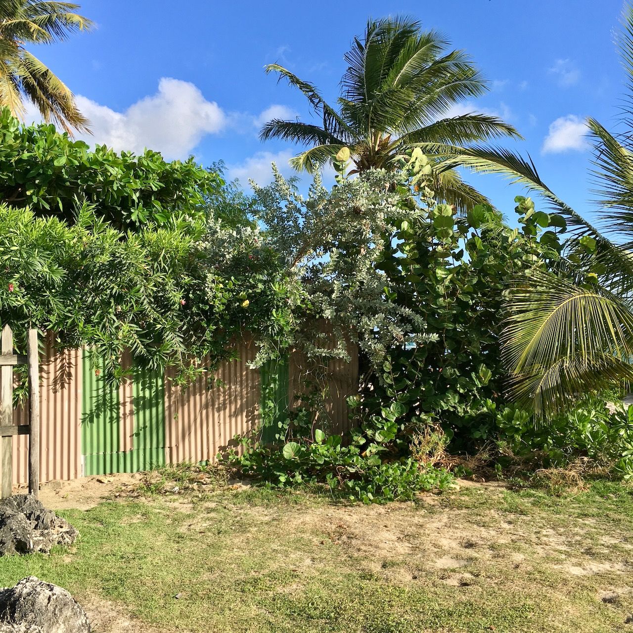Fence Coconut court beach location scouting by photographer Logan C Thomas for location catalog