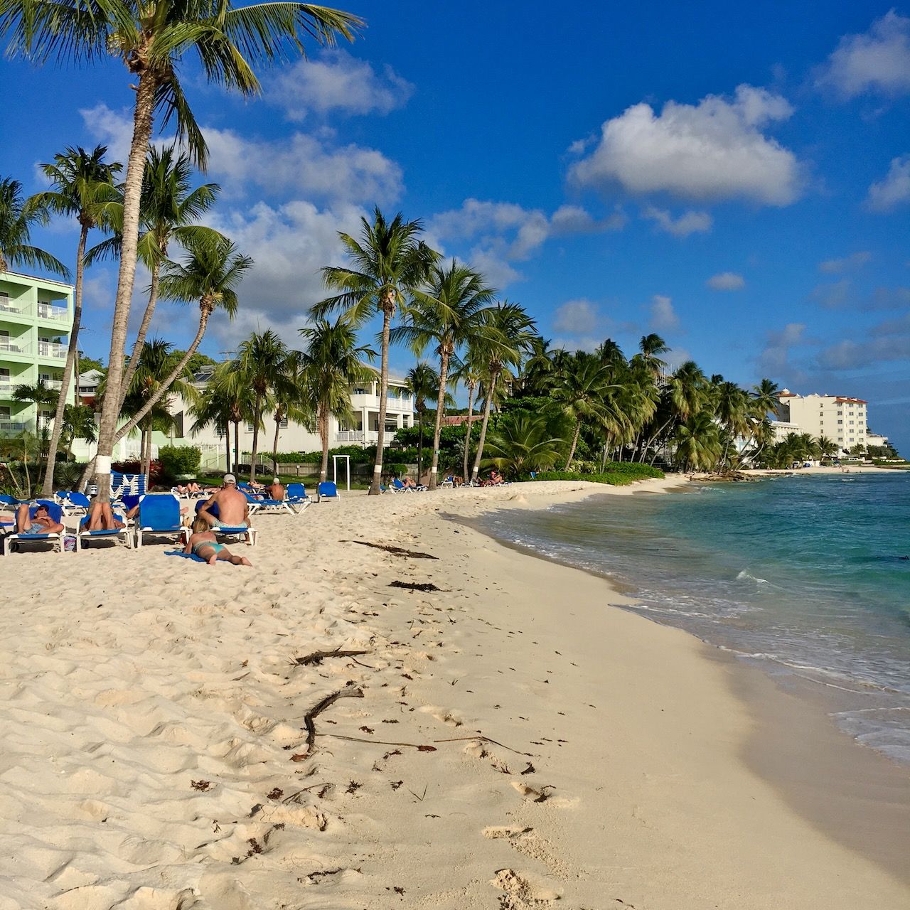 Coconut Trees Coconut court beach location scouting by photographer Logan C Thomas for location catalog