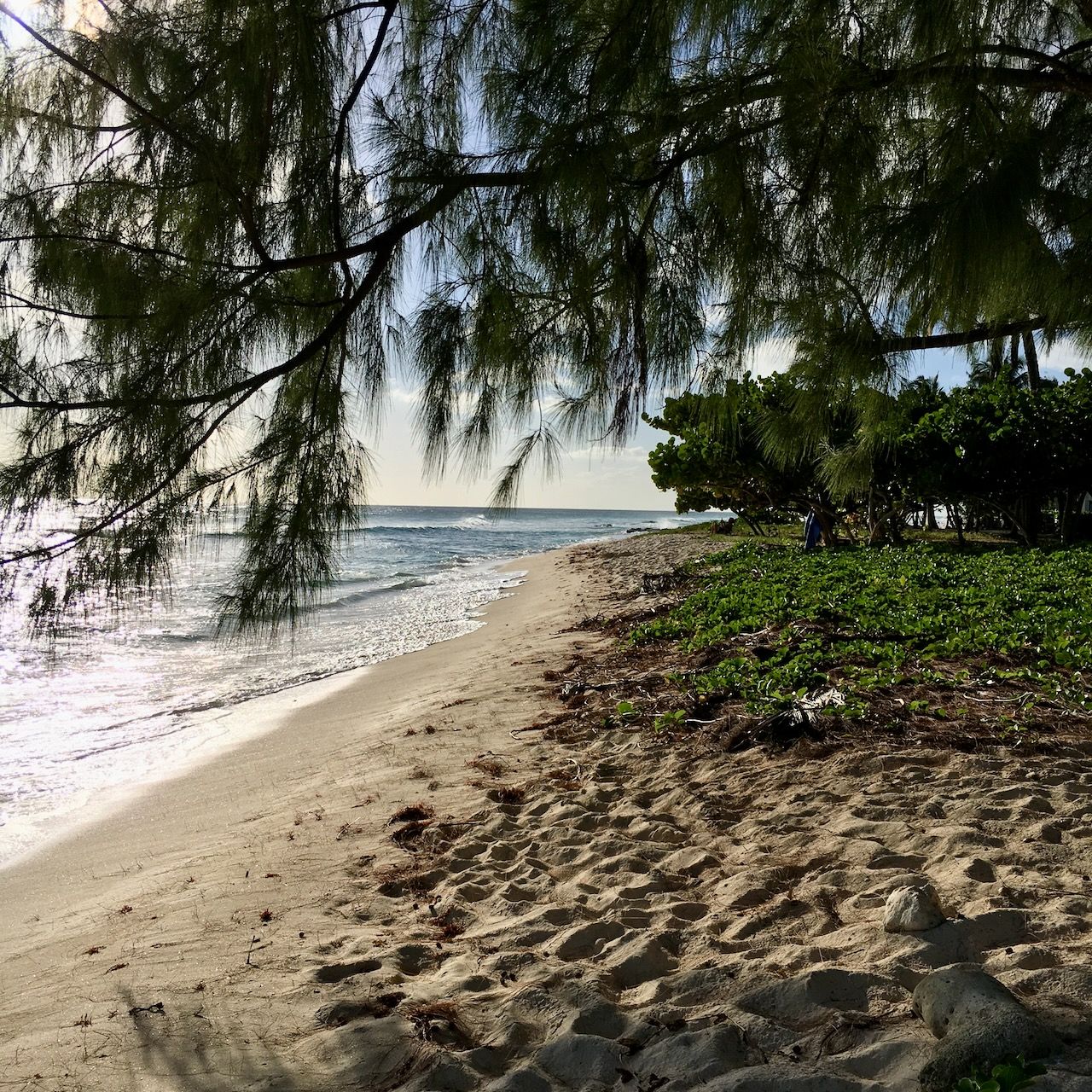 Casuarina Coconut court beach location scouting by photographer Logan C Thomas for location catalog