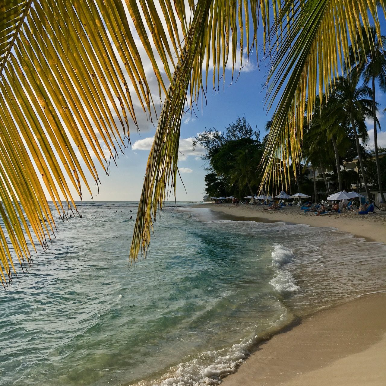 Coconut Trees Coconut court beach location scouting by photographer Logan C Thomas for location catalog