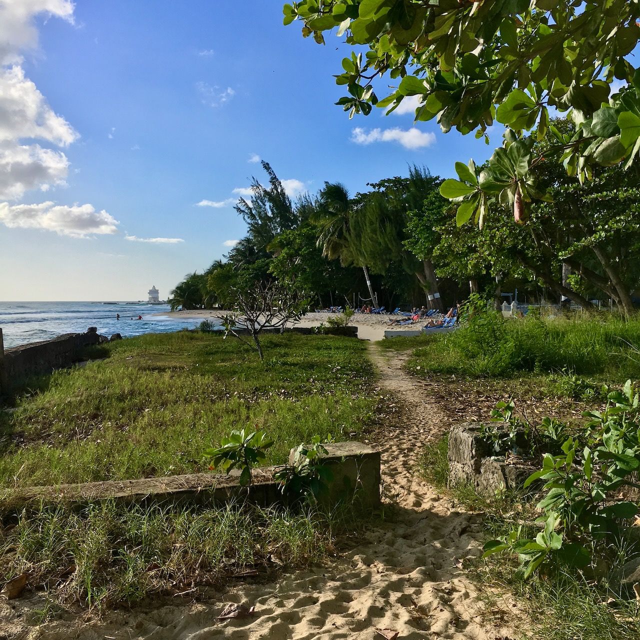 Trail to drill hall beach location scouting by photographer Logan C Thomas for location catalog