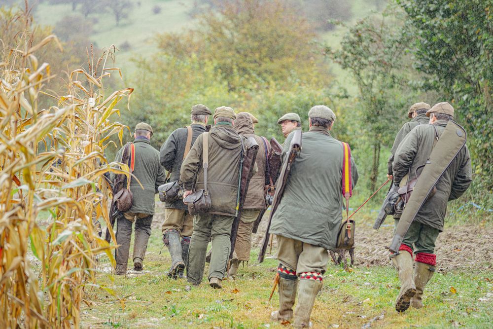Group of hunters walking in formation through autumn cornfields during a hunt.