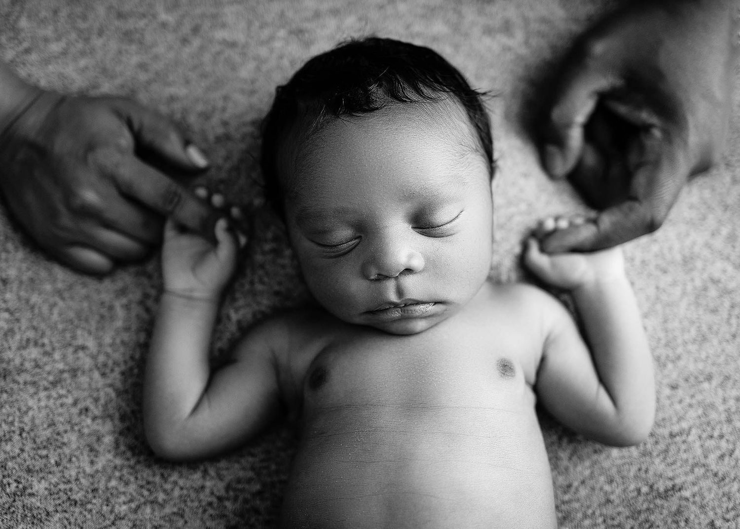tampa newborn baby