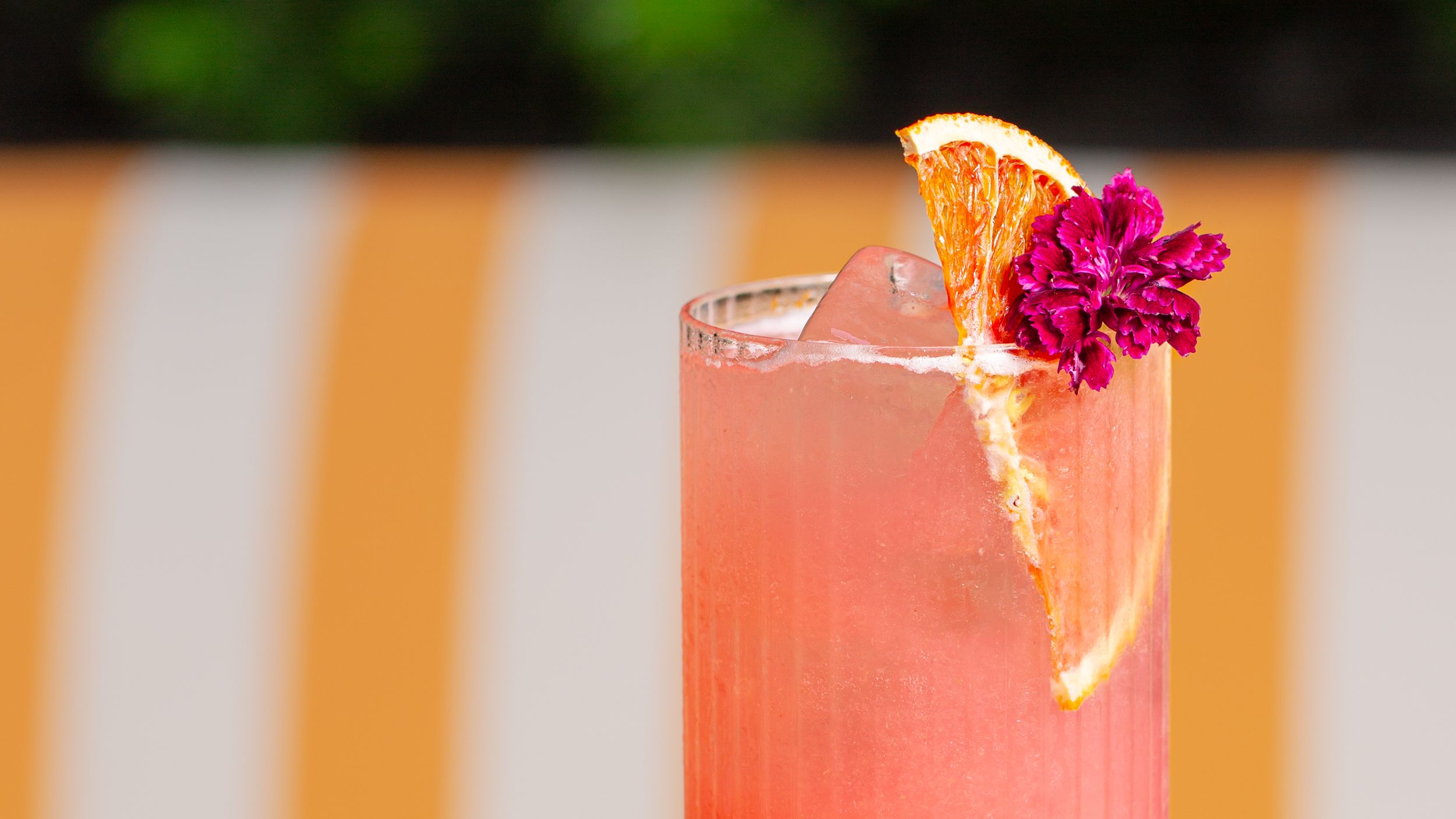 close up drinks photography