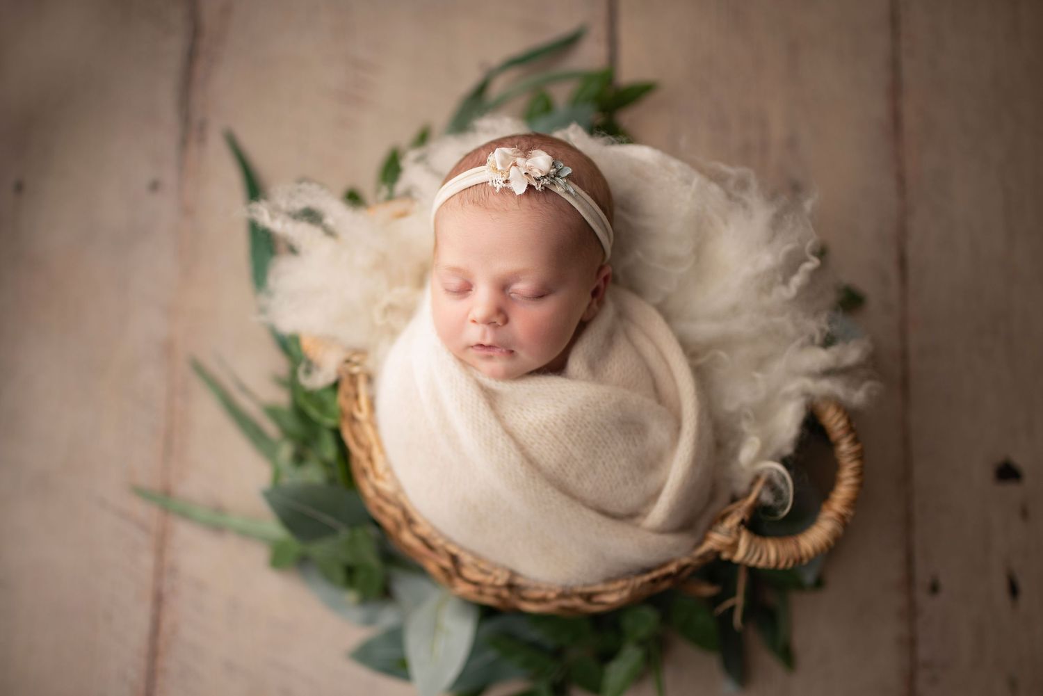 Newborn Photos in Vermont