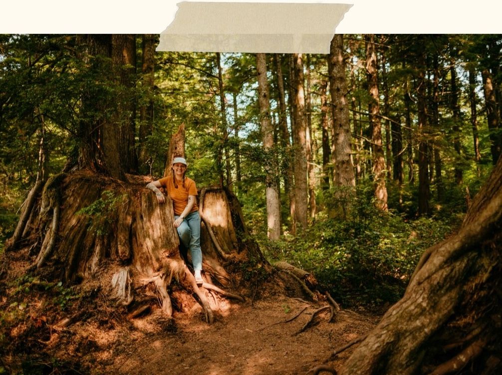 kimberly in a tree stump queer nonbinary white photographer and birth worker portland oregon