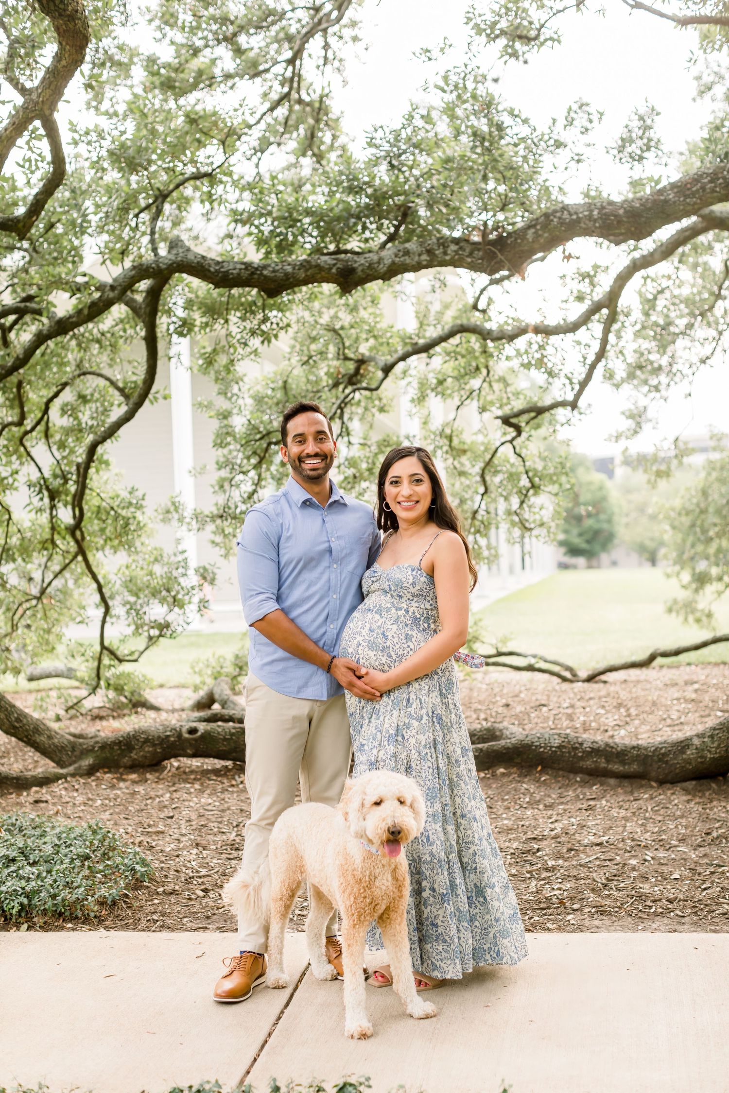 Expectant couple poses with their golden retriever under oak trees for maternity photos.