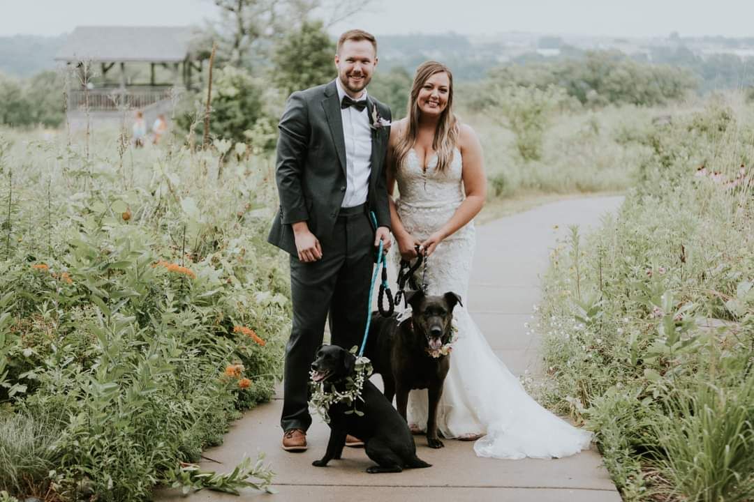 Bride and groom with dogs