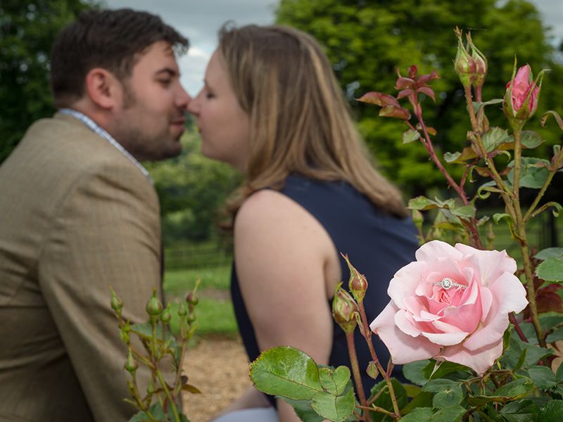 Couple kisses behind rose that contains an engagement ring,  engagement photography High Wycombe by Abigail's Studio
