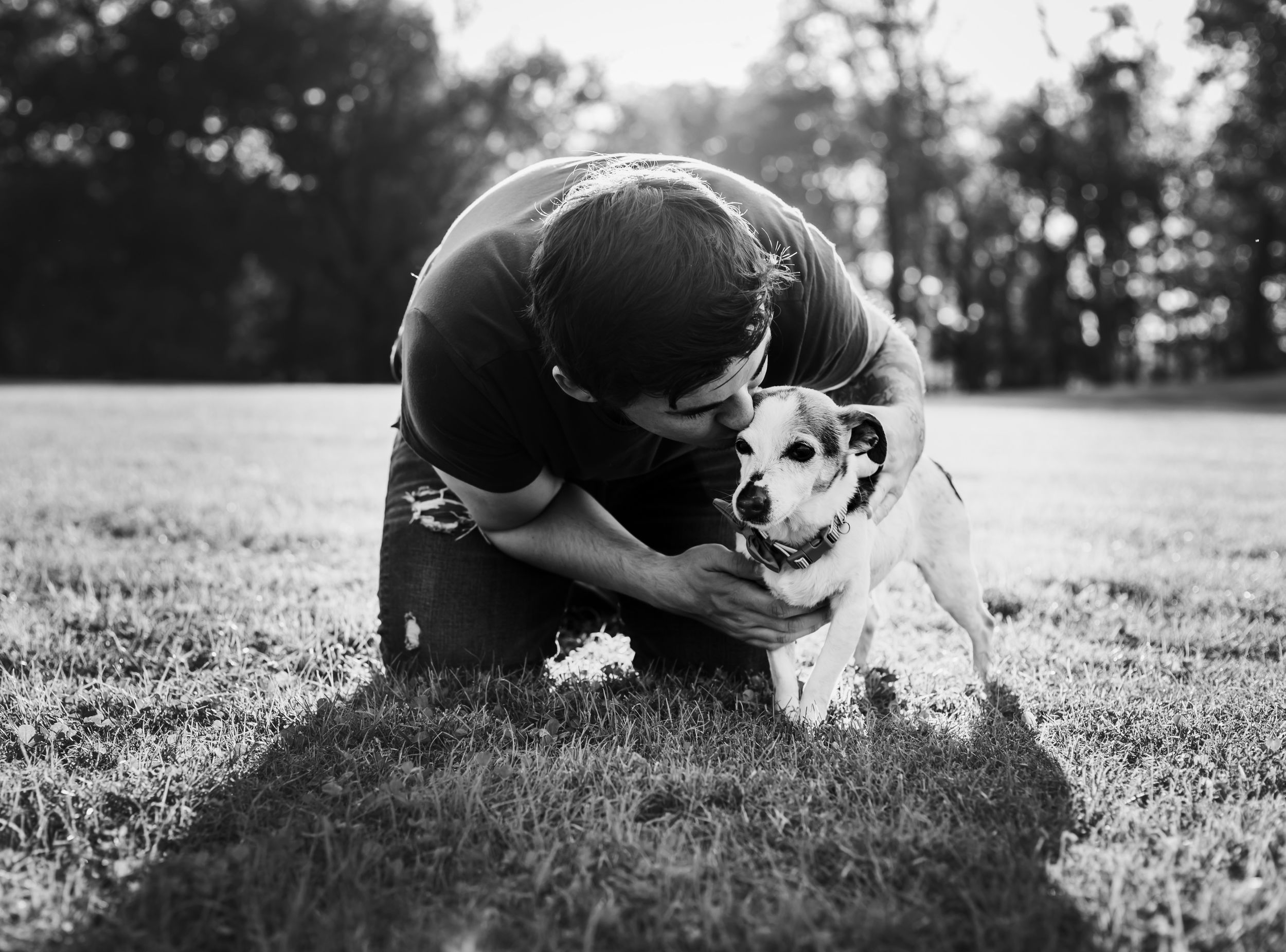 Man hugging elderly dog on a fall afternoon