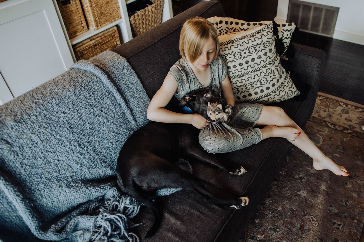 A cozy living room interior with a dog lying on a gray couch and decorative wall art.