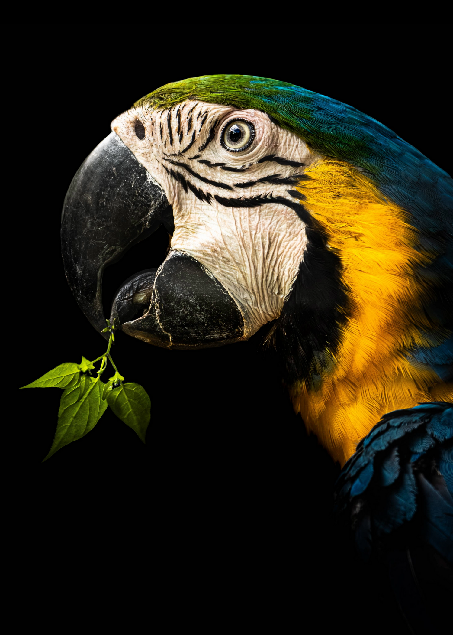 John Peters Photography