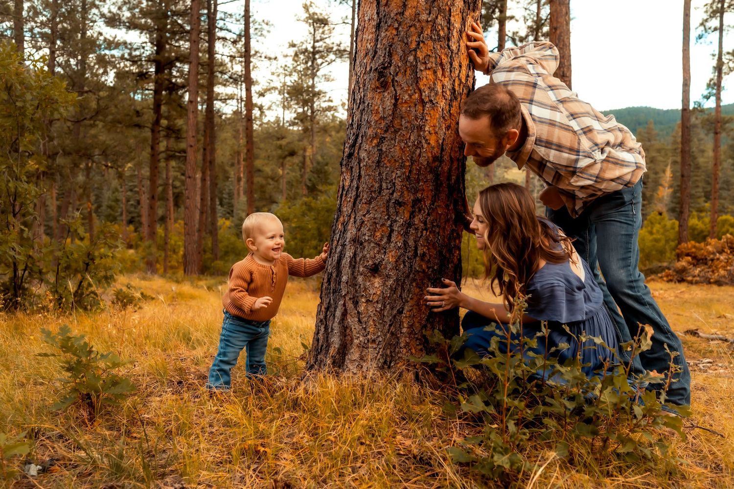 A playful scene of exploring and hugging a large tree trunk in a forest setting during autumn.
