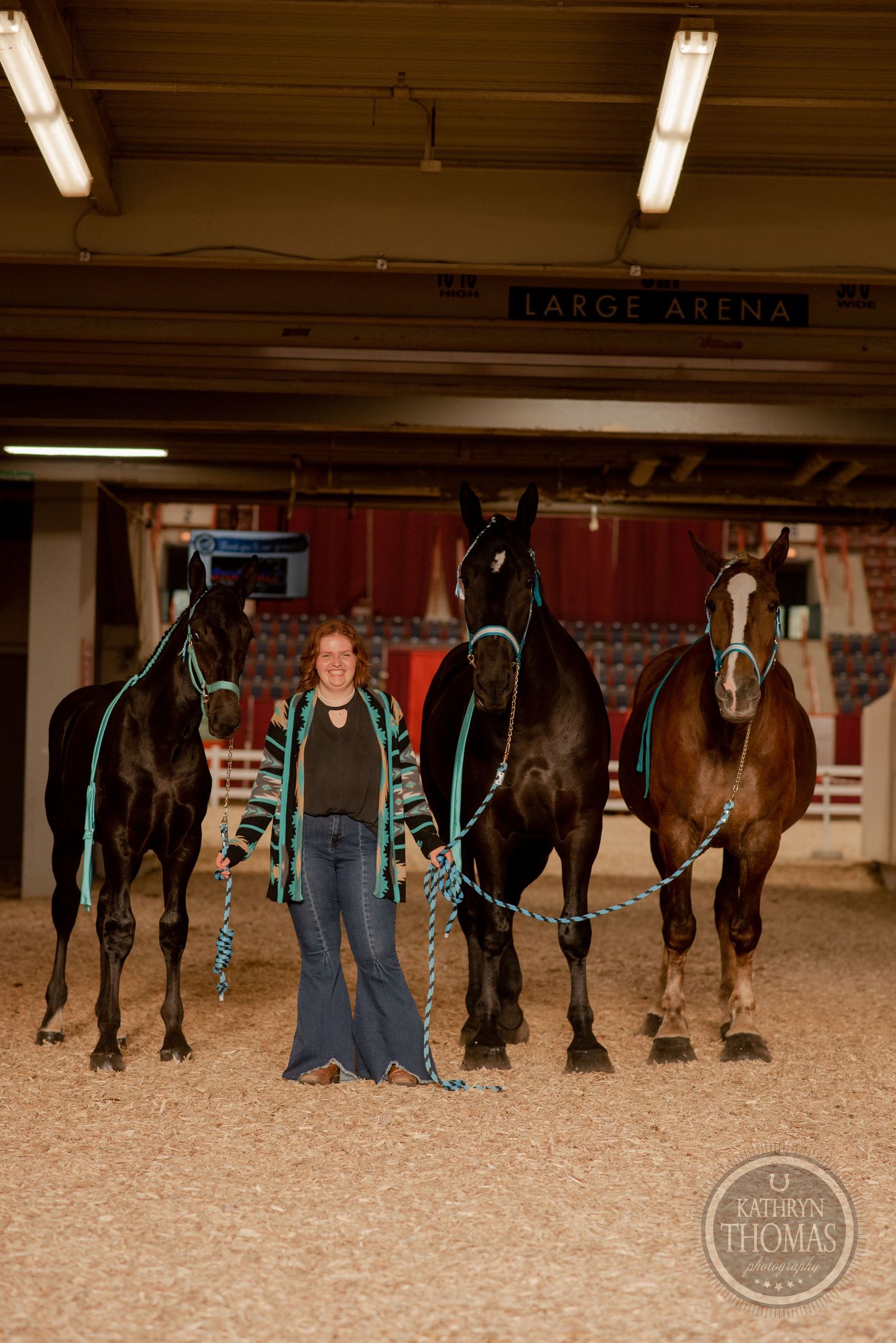 Four horses standing in formation at indoor Lance Arena with handler.
