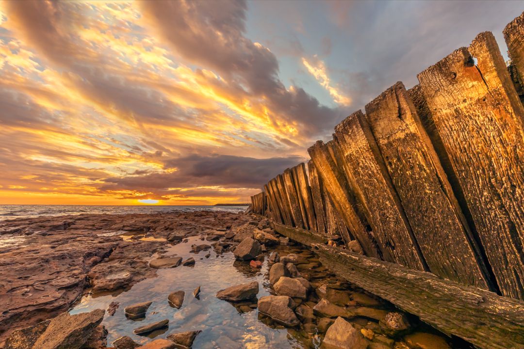 Golden sunset lights up wooden sea defenses and rocky coastline under dramatic orange sky.