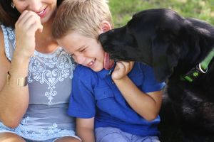 end of life pet portraits