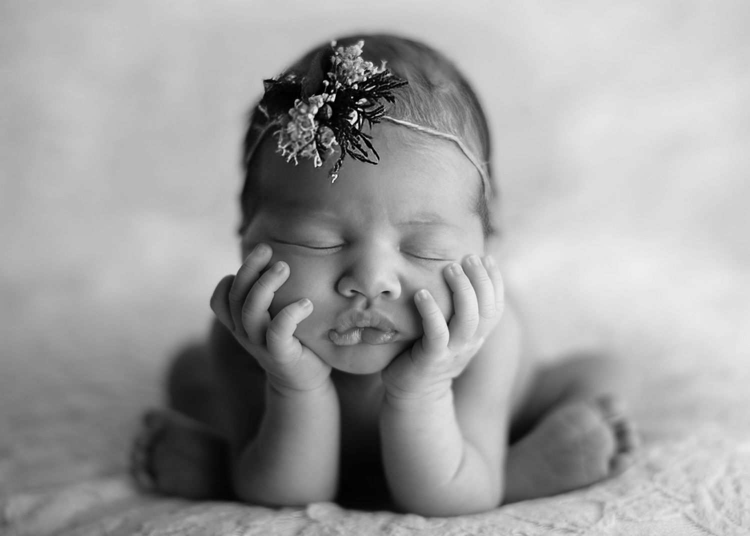 Sara Prue Photography- Creating timeless newborn portraits.