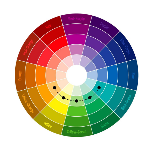 Color guide for outfits to wear for a photoshoot | Anastasia Sokyrka Photography, portrait photographer in Saigon