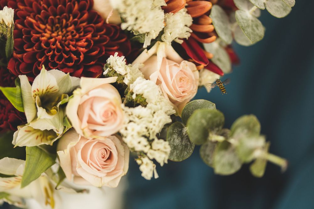 Elegant floral arrangement with pink roses, burgundy dahlias and white blooms against dark background.