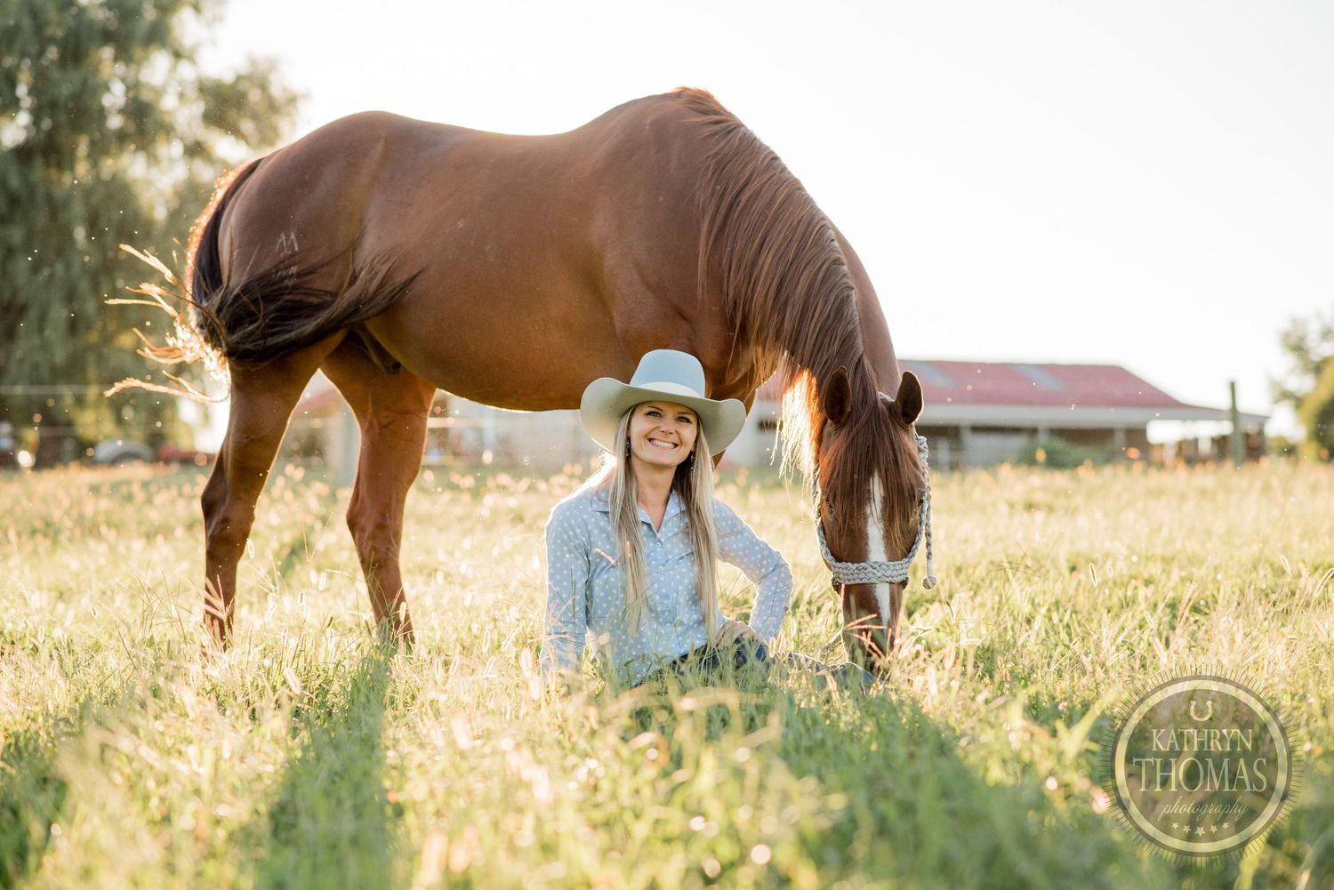 A brown horse grazes in a sunlit field while someone in western attire sits nearby.